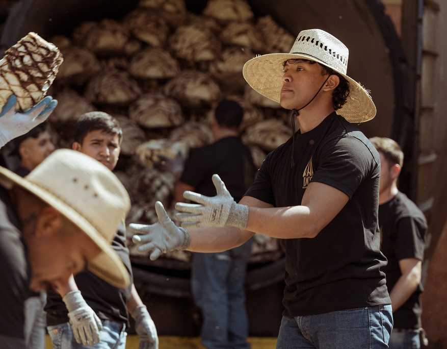 Outdoor scene in front of an industrial steam oven filled with raw agave piñas. A young man wearing a wide-brimmed straw hat, black "KNA DOS" t-shirt, jeans, and protective gloves is caught mid-motion, arms extended and eyes focused as he catches a piña. In the blurred background, other workers in black t-shirts and gloves pass agave from hand to hand, framed by the cylindrical oven stacked with piñas.