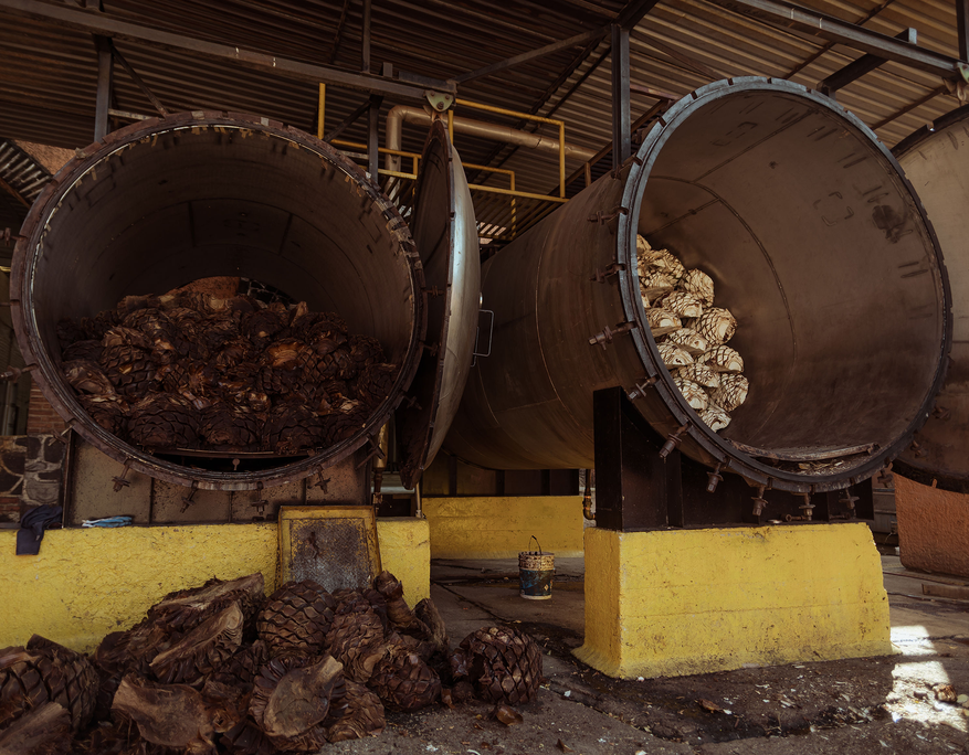 Side-by-side view of two large industrial ovens in a tequila distillery. The oven on the left is filled with roasted, dark brown agave piñas, while the oven on the right contains raw, unroasted white agave piñas. Several roasted agave pieces lie scattered on the ground in front of the left oven. The contrast between the caramelized and raw agave highlights different stages of the traditional cooking process. The ovens are mounted on bright yellow concrete bases under a corrugated metal roof.