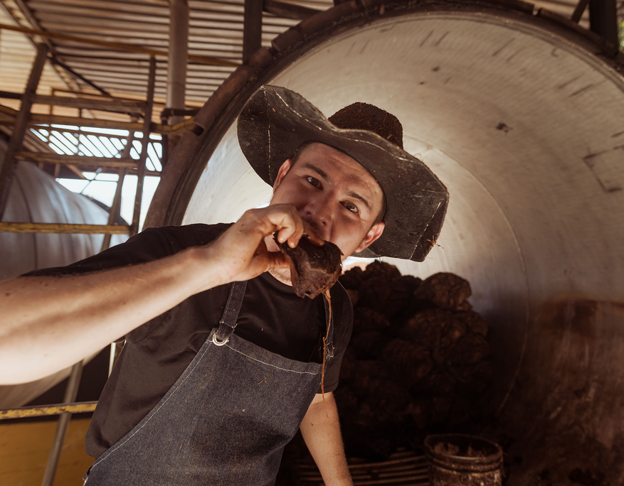Close-up of a man in a black shirt, denim apron, and wide-brimmed hat inside a roasting chamber. He is holding and biting into a dark, caramelized piece of roasted agave. Behind him, the chamber is filled with roasted agave hearts. The setting conveys the artisanal, hands-on process of tequila production.