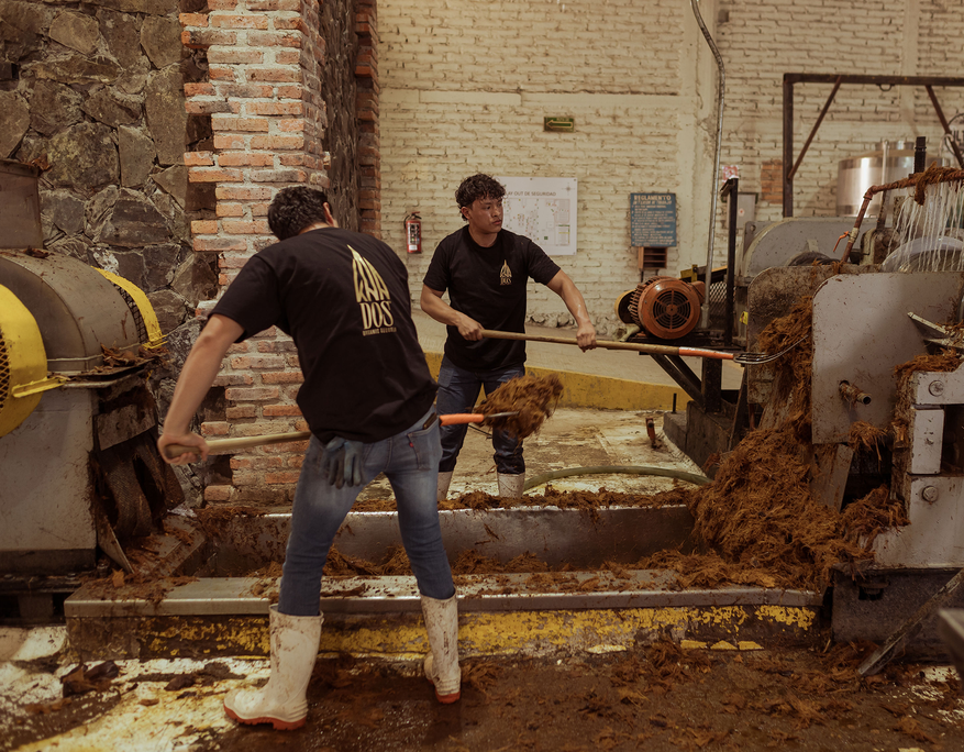 Zwei Männer mit schwarzen „DOS Organic Tequila“-T-Shirts und weißen Gummistiefeln schaufeln faserige Agavereste in einer Tequilafabrik. Sie stehen zwischen industriellen Maschinen mit metallischen Walzen und trichterförmigen Öffnungen, aus denen zerkleinertes Pflanzenmaterial quillt. Die Umgebung besteht aus Backstein- und Natursteinwänden, die Szene vermittelt handwerkliche Verarbeitung und körperliche Arbeit.