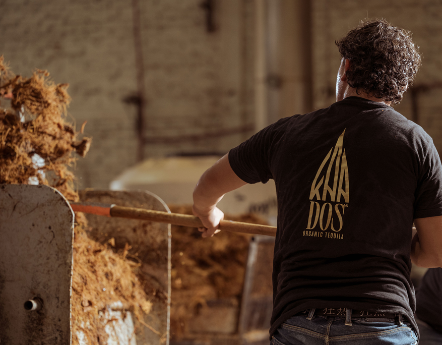 Rückenansicht eines Mannes in dunklem T-Shirt mit dem goldenen Logo „DOS Organic Tequila“, der mit einem Holzstiel faserige Agavereste in eine industrielle Maschine schiebt. Links im Bild türmt sich das zerkleinerte Pflanzenmaterial auf, die Umgebung wirkt wie eine Werkshalle mit gemauerter Wand im Hintergrund. Die Szene zeigt einen Arbeitsschritt in der handwerklichen Tequilaproduktion.