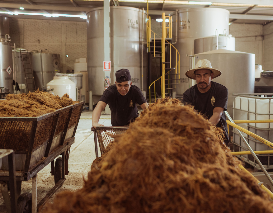 Two men push metal carts filled with shredded agave fibers through a distillery. The man on the left wears a black T-shirt and a backwards cap, while the man on the right wears a similar black T-shirt and a wide-brimmed straw hat. In the background are large stainless steel fermentation tanks and other industrial distillation equipment. The scene is bright and clean, capturing an authentic moment in the tequila production process.